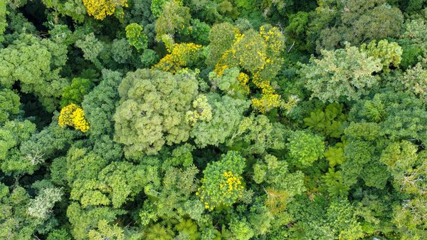 Surmonter la Tempête Sociale : Approches Créatives et Défis Essentiels pour les Entreprises d'Aujourd'hui